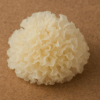 Thumbnail of related posts 039